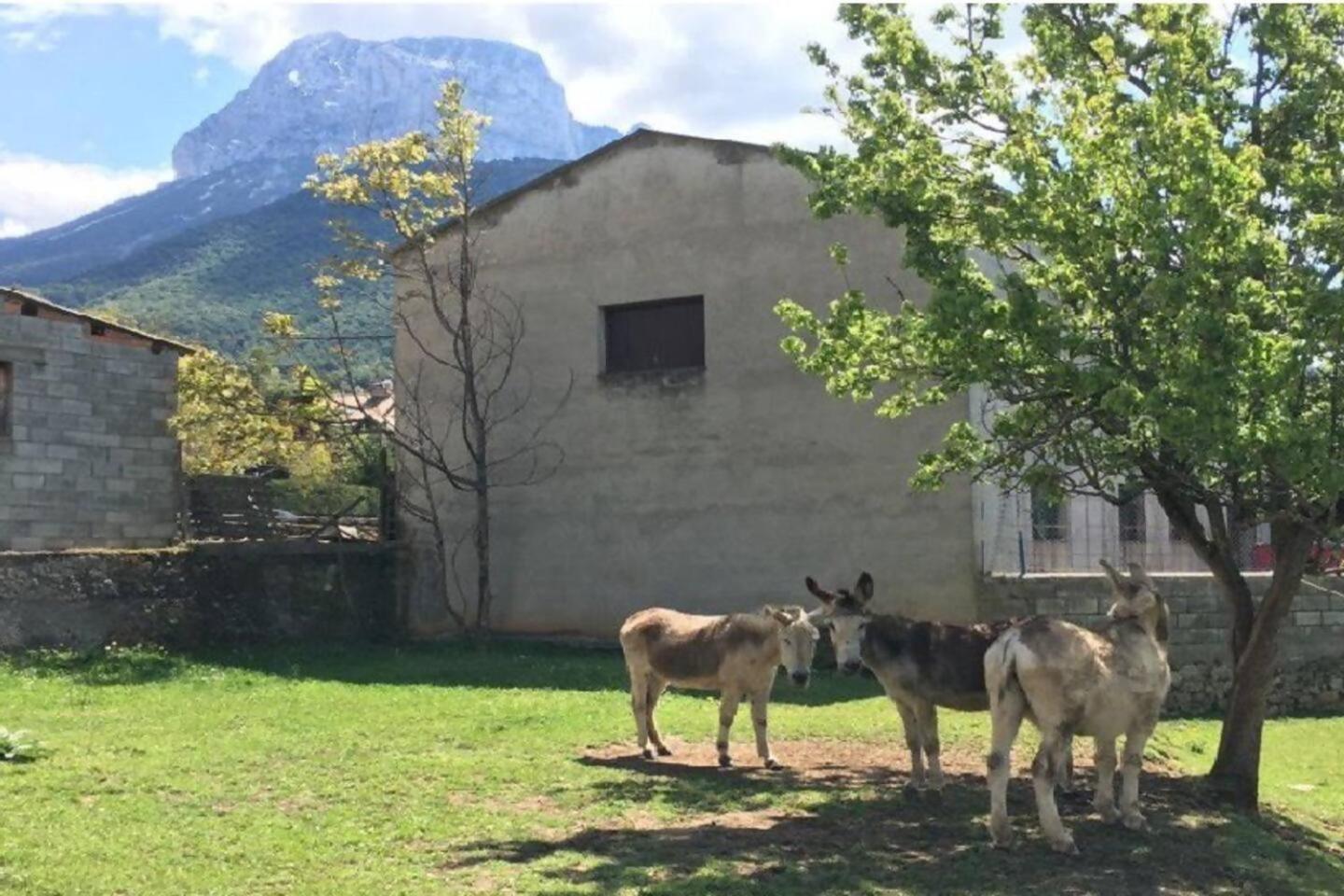 Duplex La Valle Ordesaainsa Laspuña エクステリア 写真