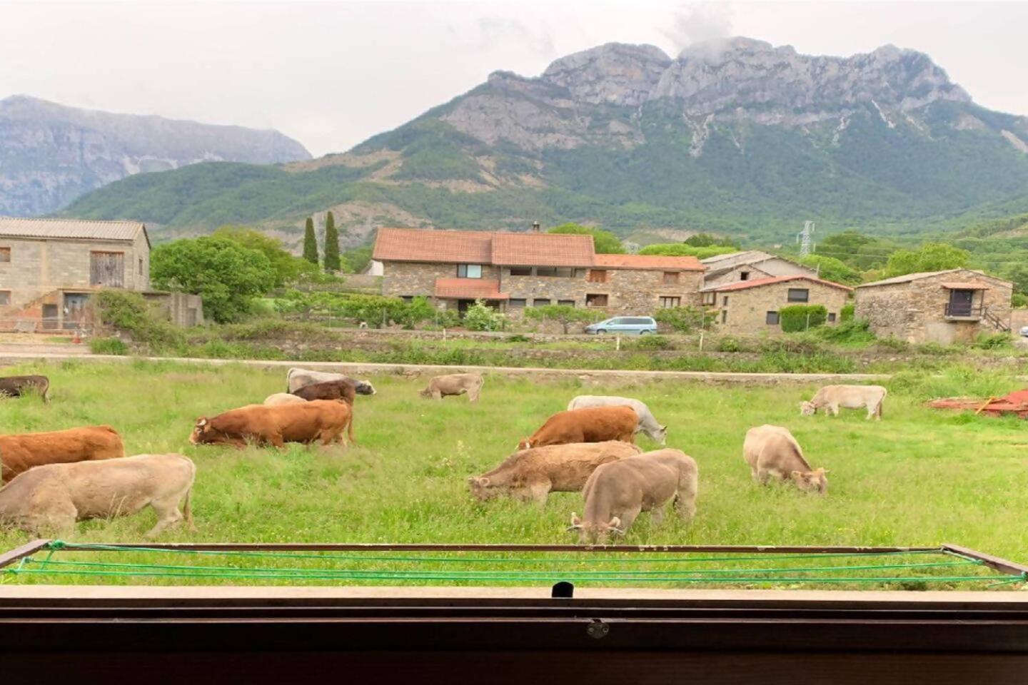 Duplex La Valle Ordesaainsa Laspuña エクステリア 写真